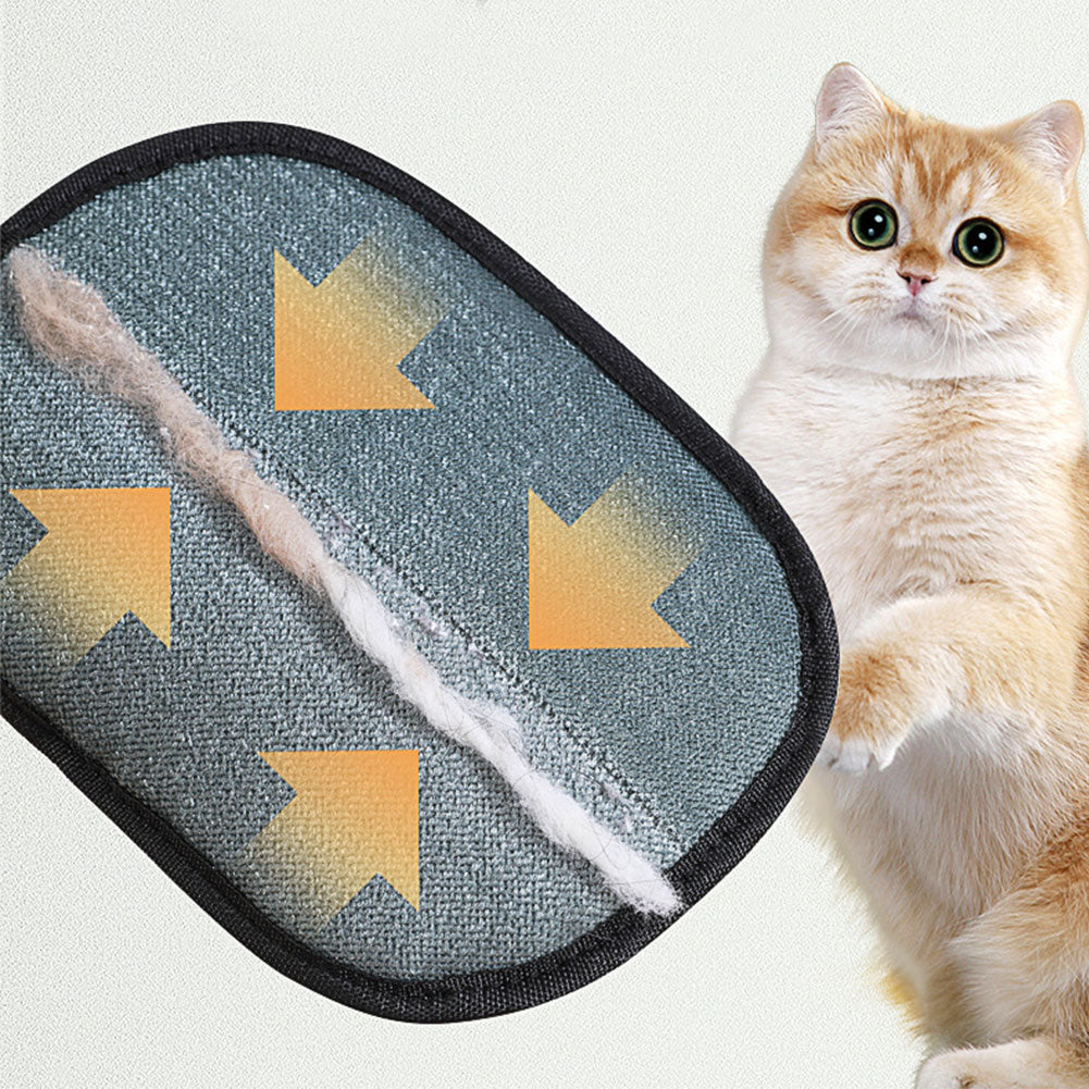 Chammypet™ Pet Hair RemoverGloves